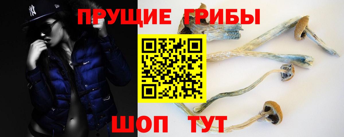Псилоцибиновые грибы Psilocybine cubensis Усть-Джегута